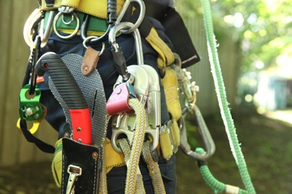close up of a tool belt with climbing gear
